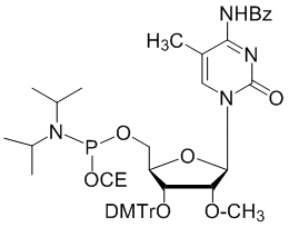 Chemgenes Products 2 O Methyl 3 Dmt 5 Methyl Cytidine N Bz 5 Ced Phosphoramidite